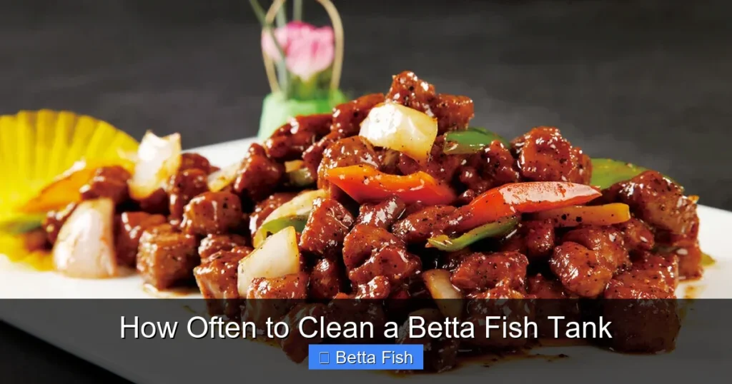 How Often to Clean a Betta Fish Tank