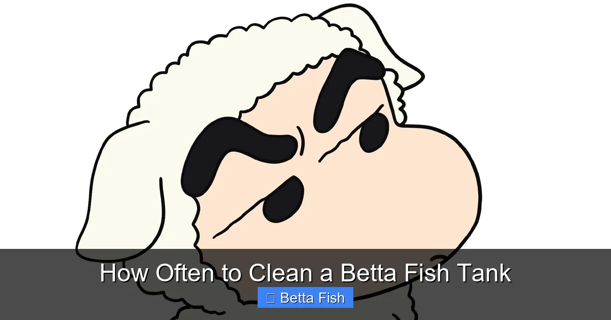 How Often to Clean a Betta Fish Tank