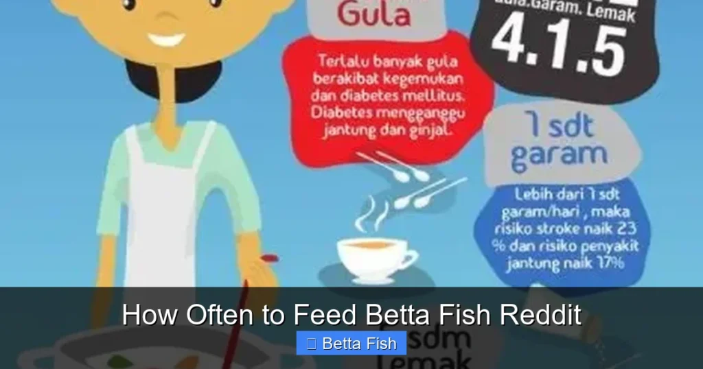How Often to Feed Betta Fish Reddit