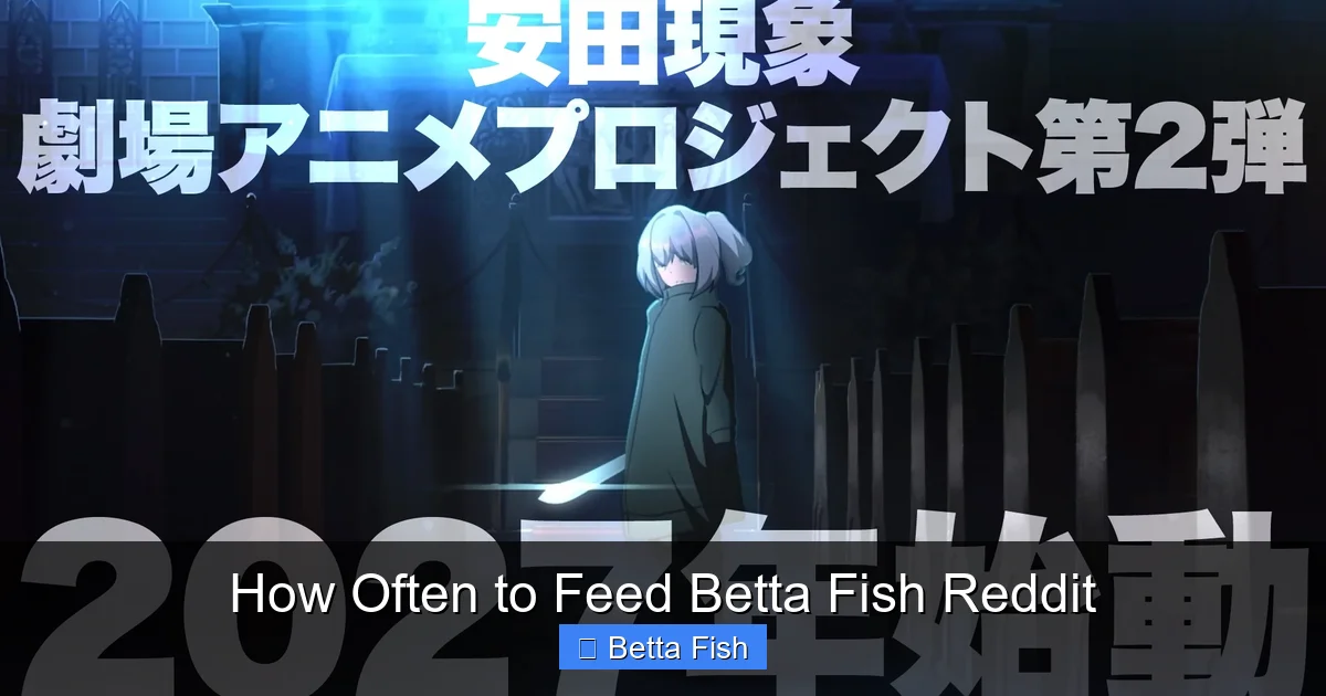 How Often to Feed Betta Fish Reddit