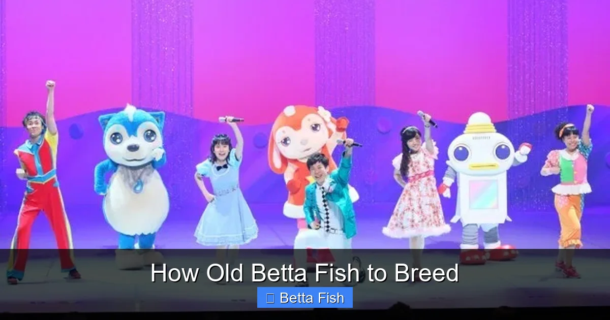 How Old Betta Fish to Breed