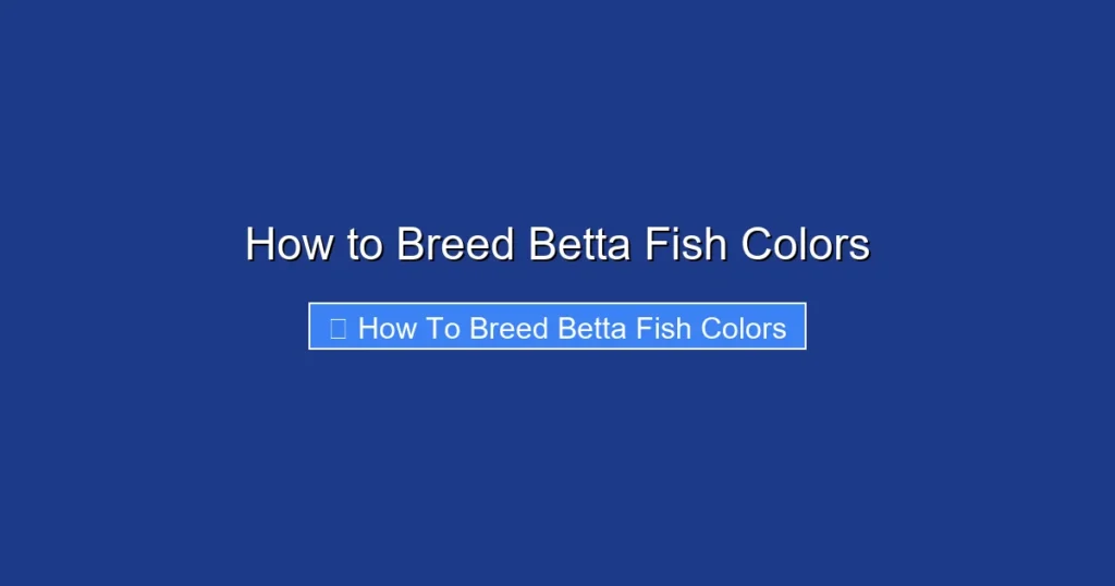 How to Breed Betta Fish Colors