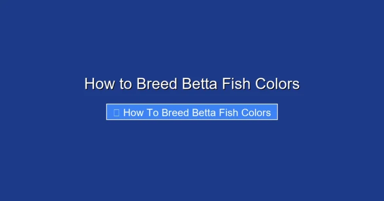 How to Breed Betta Fish Colors