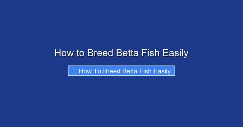 How to Breed Betta Fish Easily