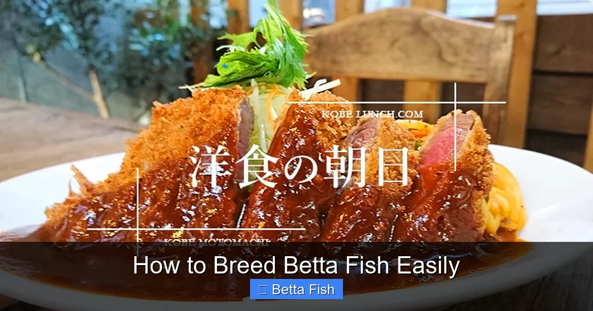 How to Breed Betta Fish Easily