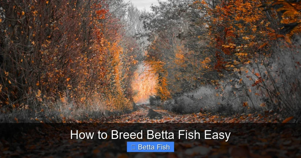 How to Breed Betta Fish Easy