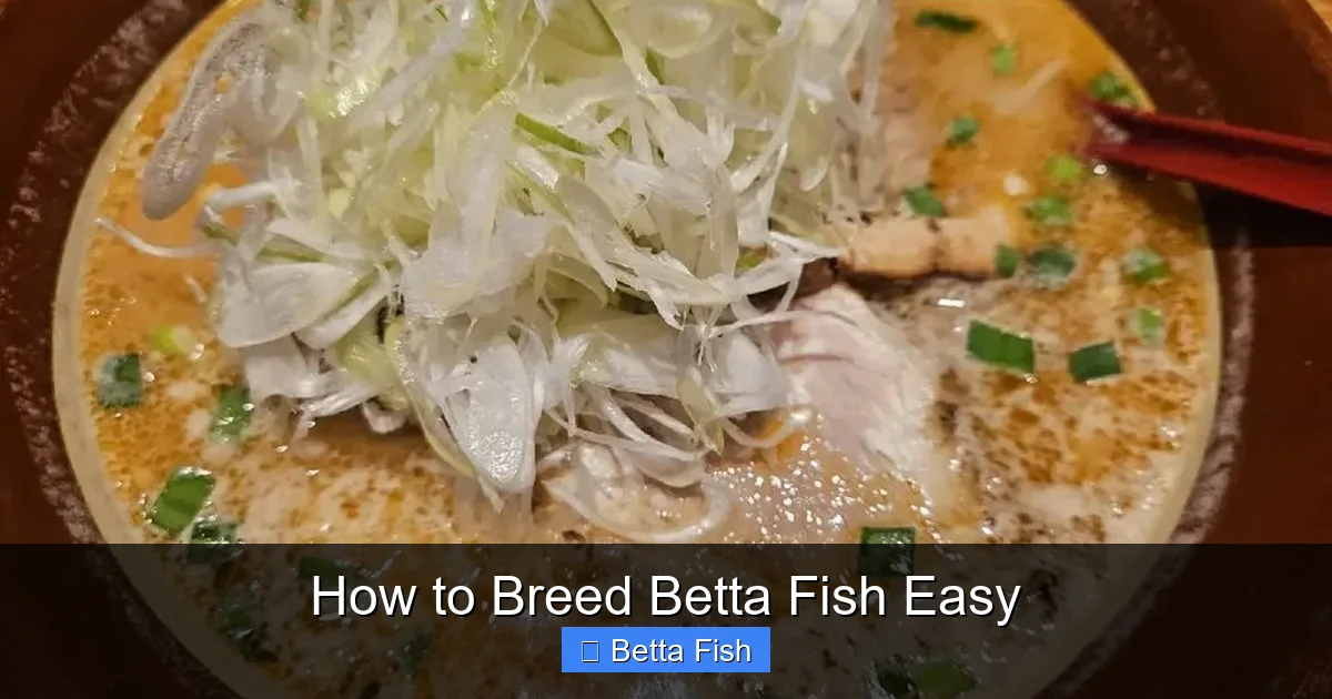 How to Breed Betta Fish Easy