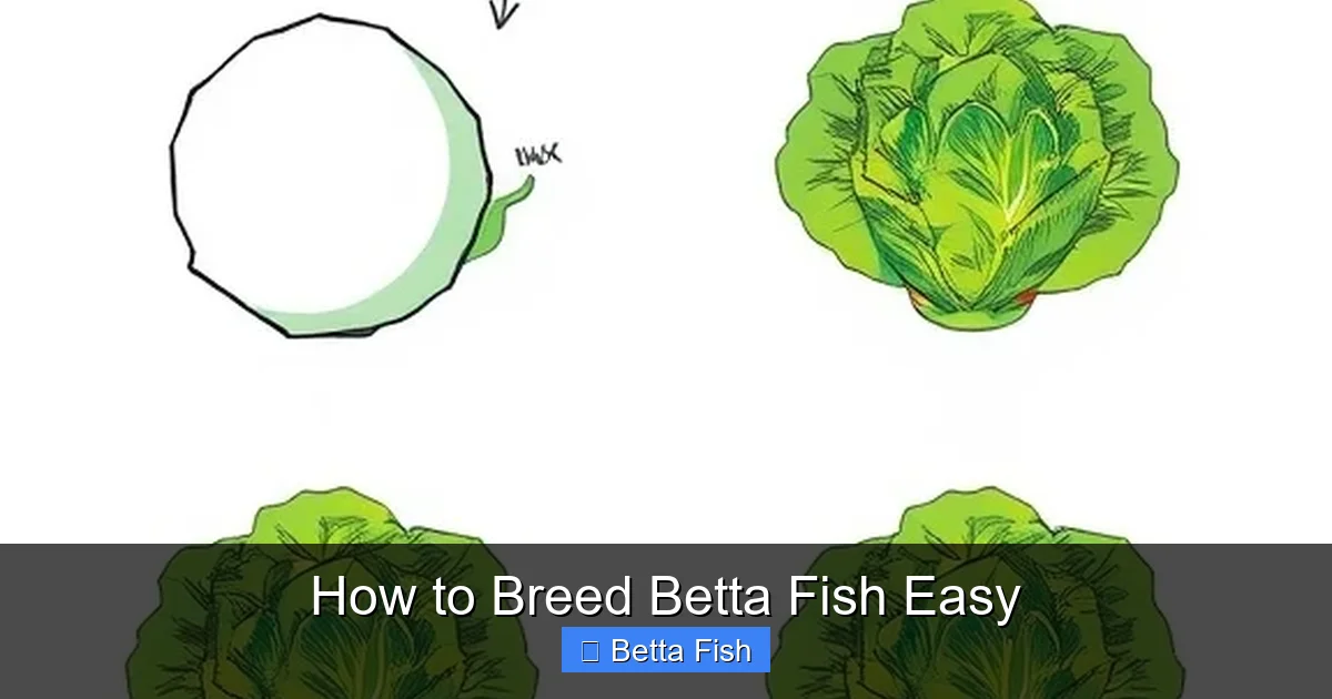 How to Breed Betta Fish Easy