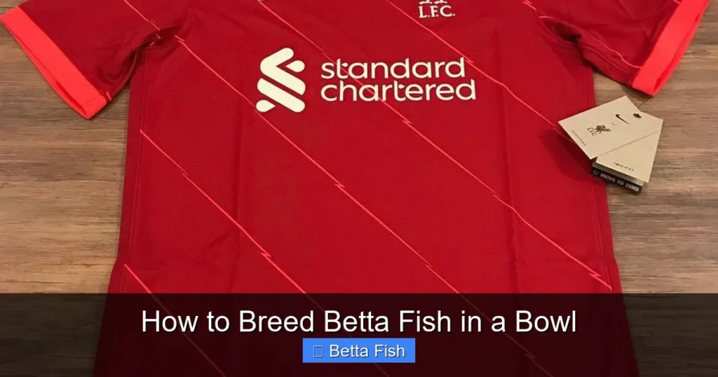 How to Breed Betta Fish in a Bowl