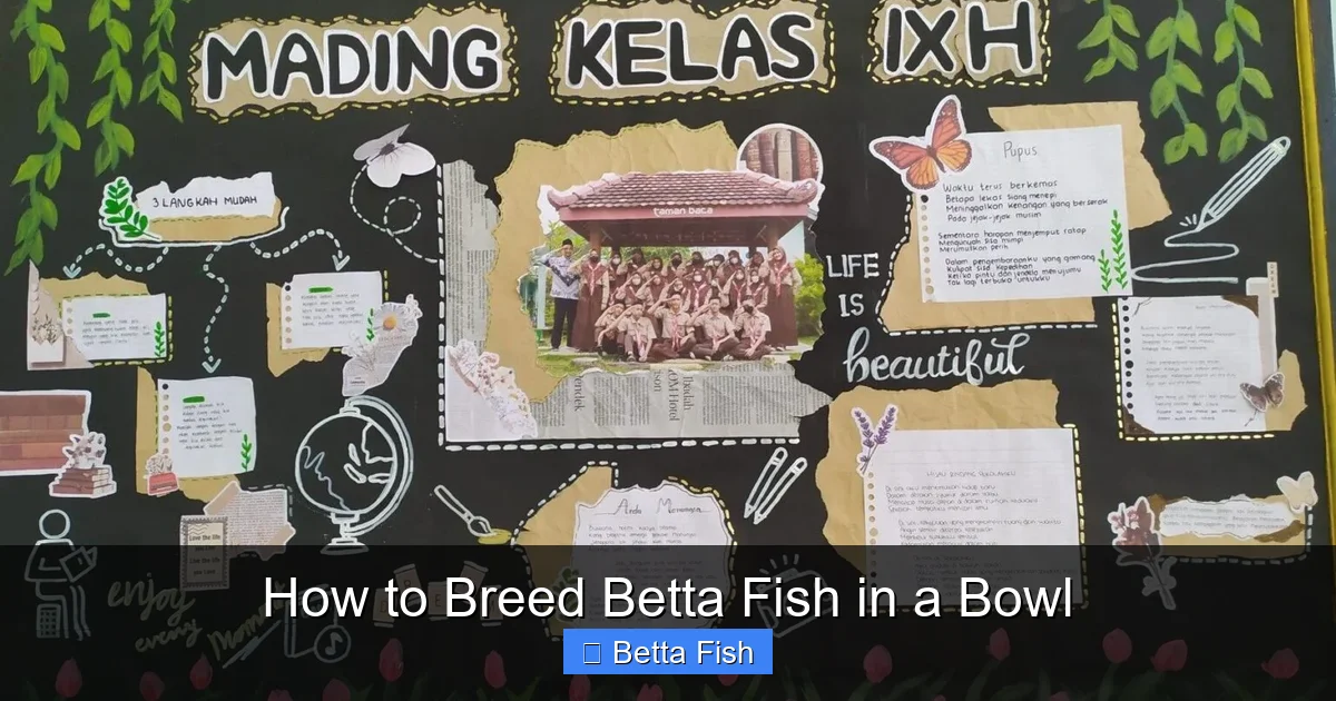 How to Breed Betta Fish in a Bowl