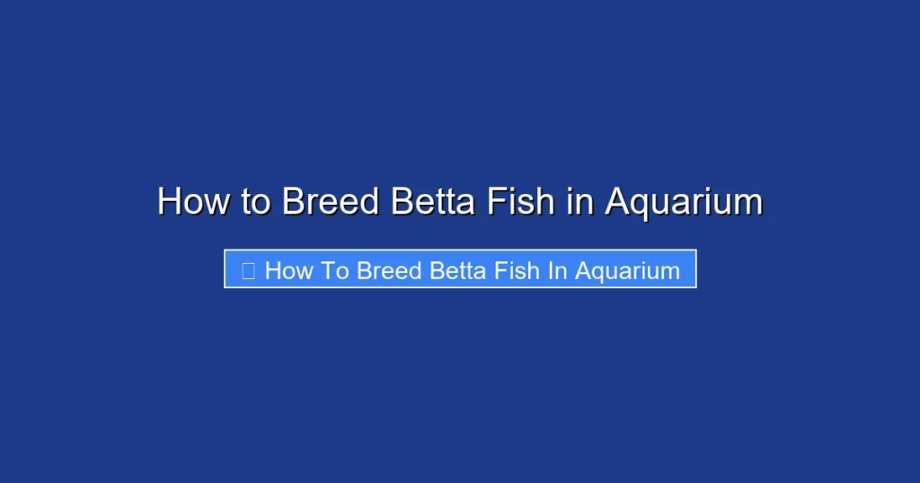 How to Breed Betta Fish in Aquarium