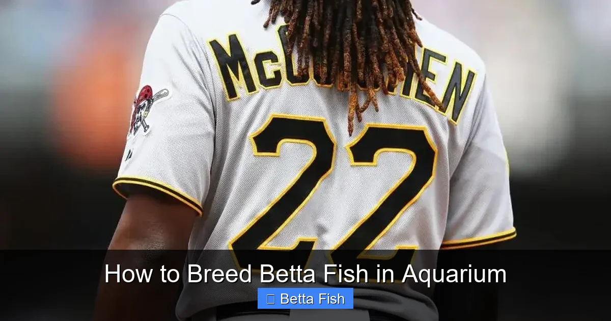 How to Breed Betta Fish in Aquarium