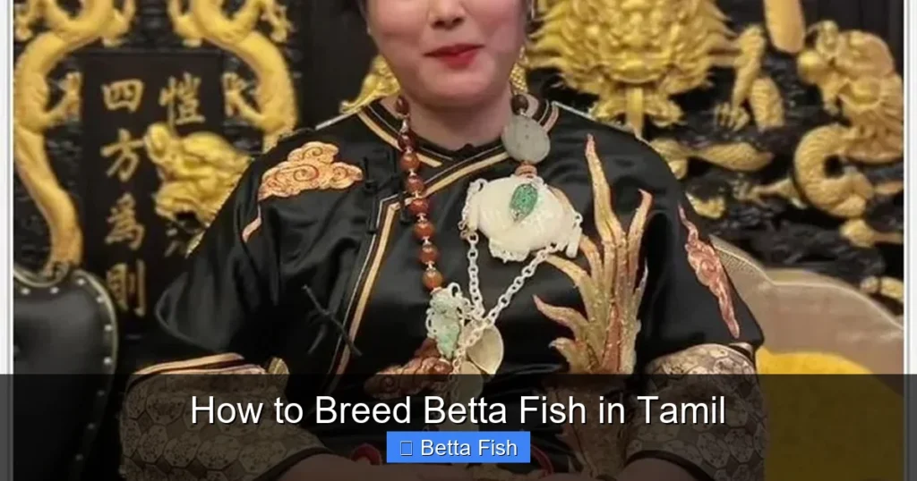 How to Breed Betta Fish in Tamil