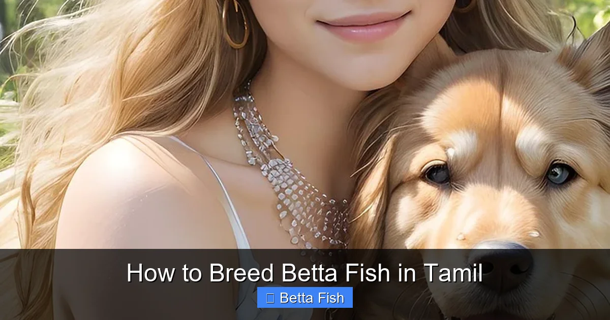 How to Breed Betta Fish in Tamil