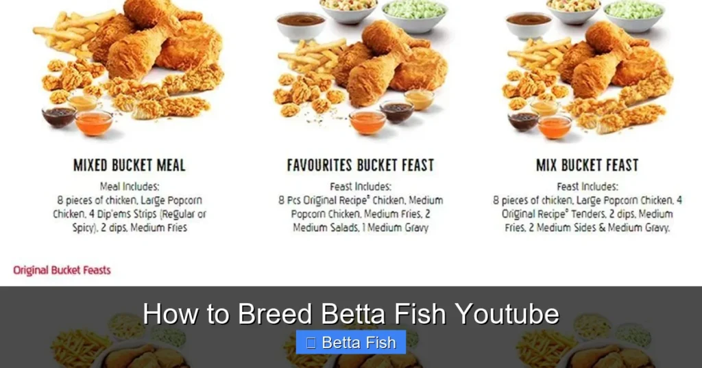 How to Breed Betta Fish Youtube