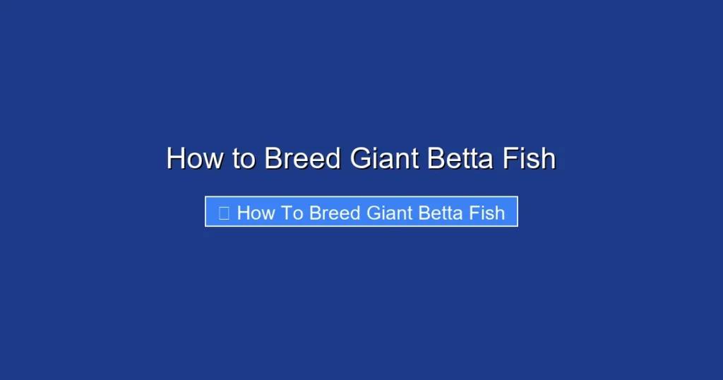 How to Breed Giant Betta Fish