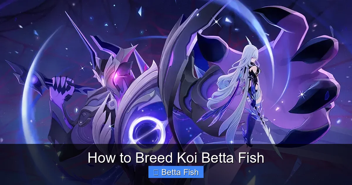 How to Breed Koi Betta Fish