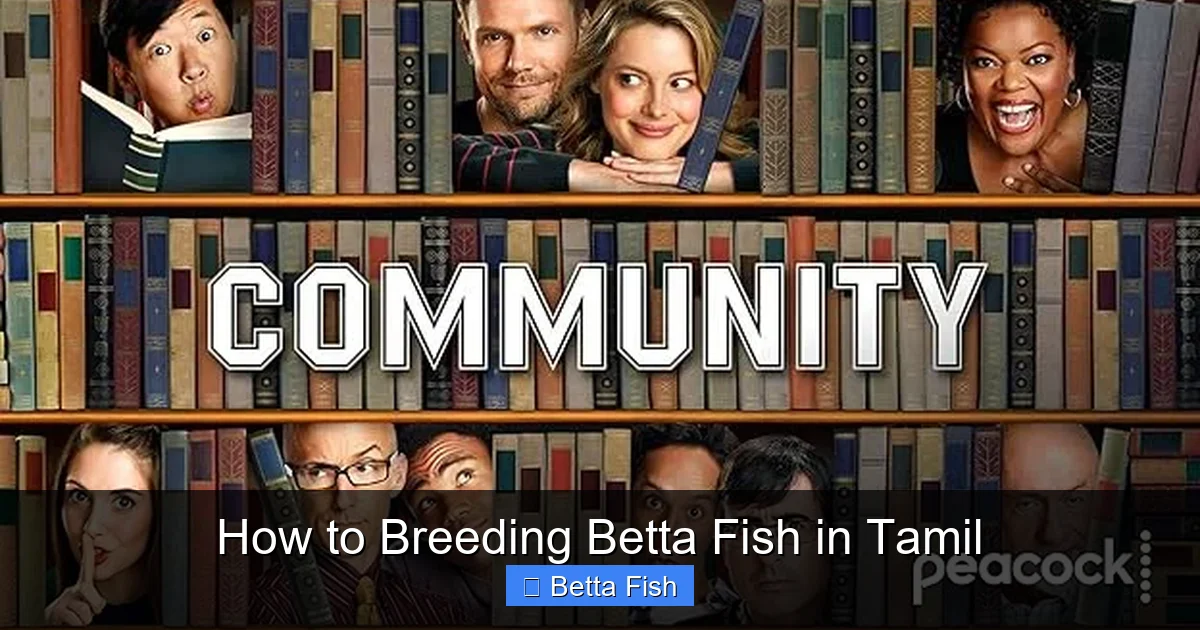 How to Breeding Betta Fish in Tamil
