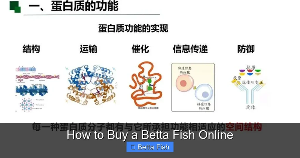 How to Buy a Betta Fish Online