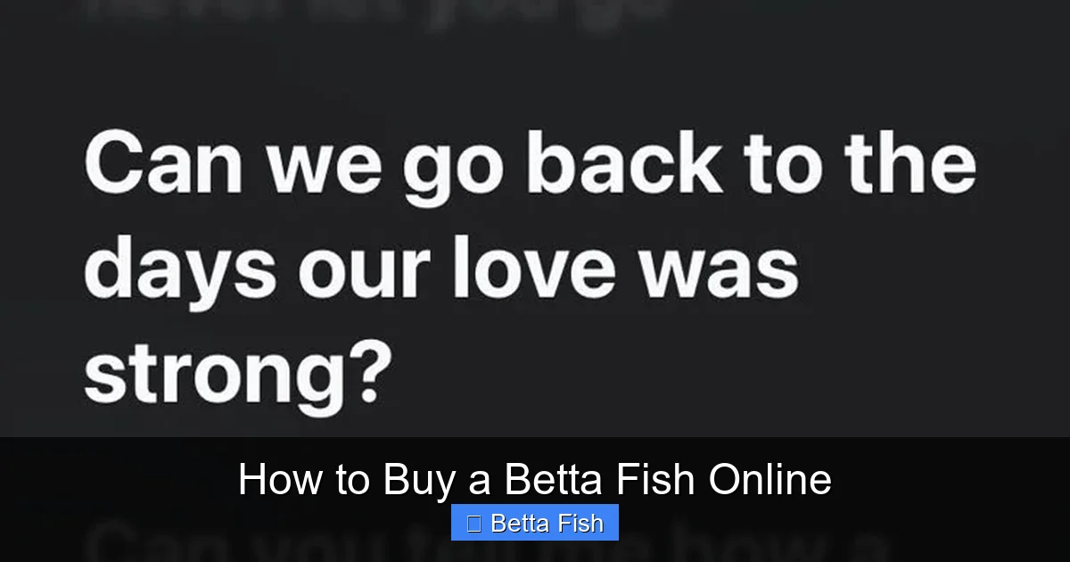 How to Buy a Betta Fish Online