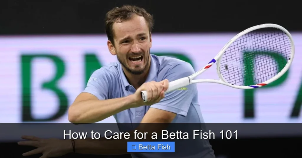 How to Care for a Betta Fish 101