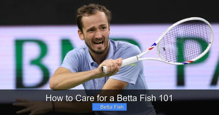 How to Care for a Betta Fish 101