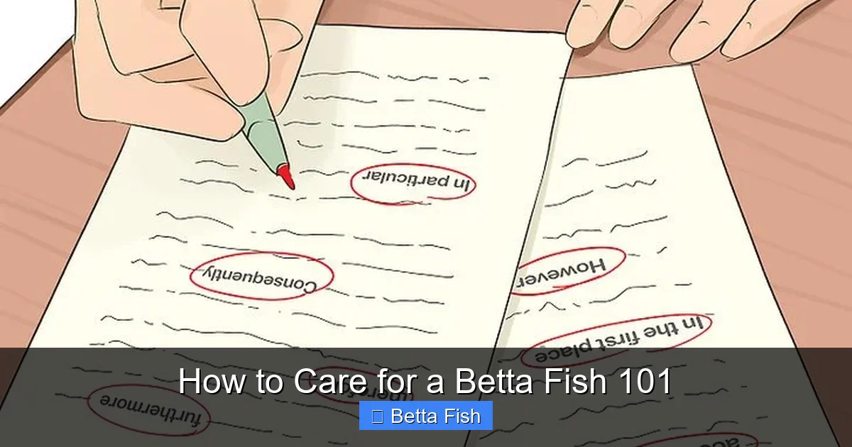 How to Care for a Betta Fish 101
