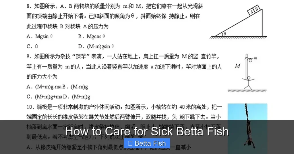 How to Care for Sick Betta Fish