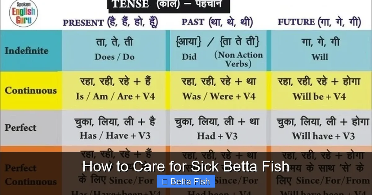 How to Care for Sick Betta Fish
