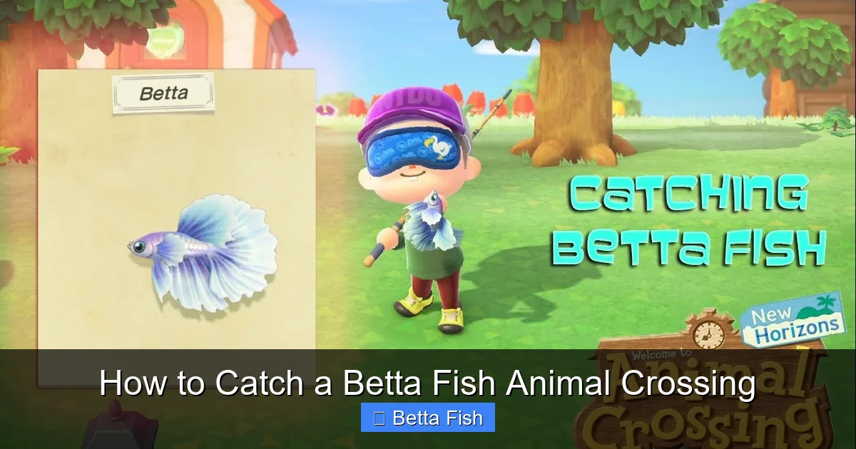 How to Catch a Betta Fish Animal Crossing
