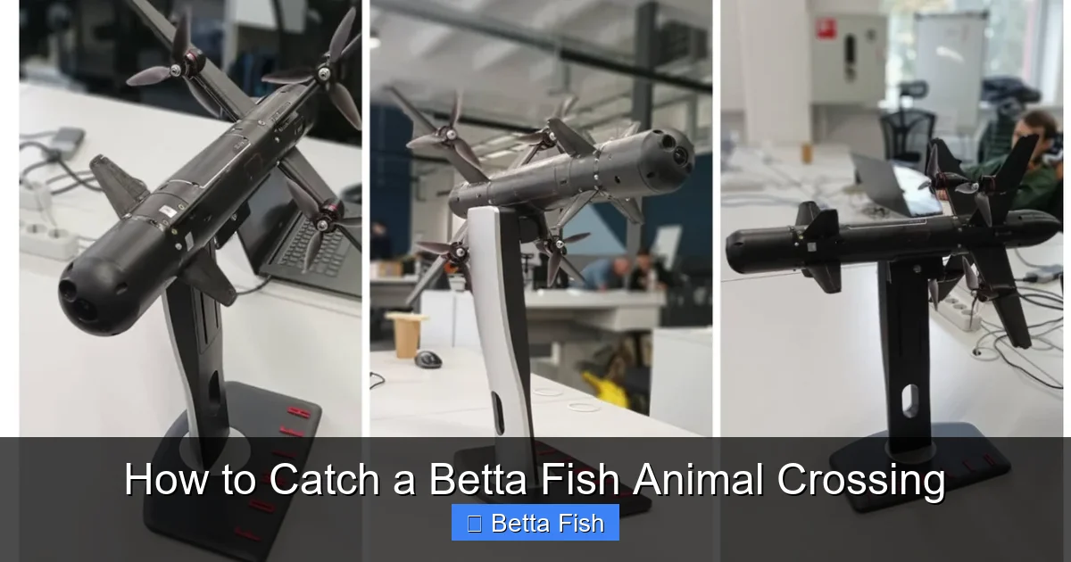 How to Catch a Betta Fish Animal Crossing