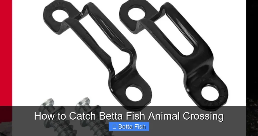 How to Catch Betta Fish Animal Crossing