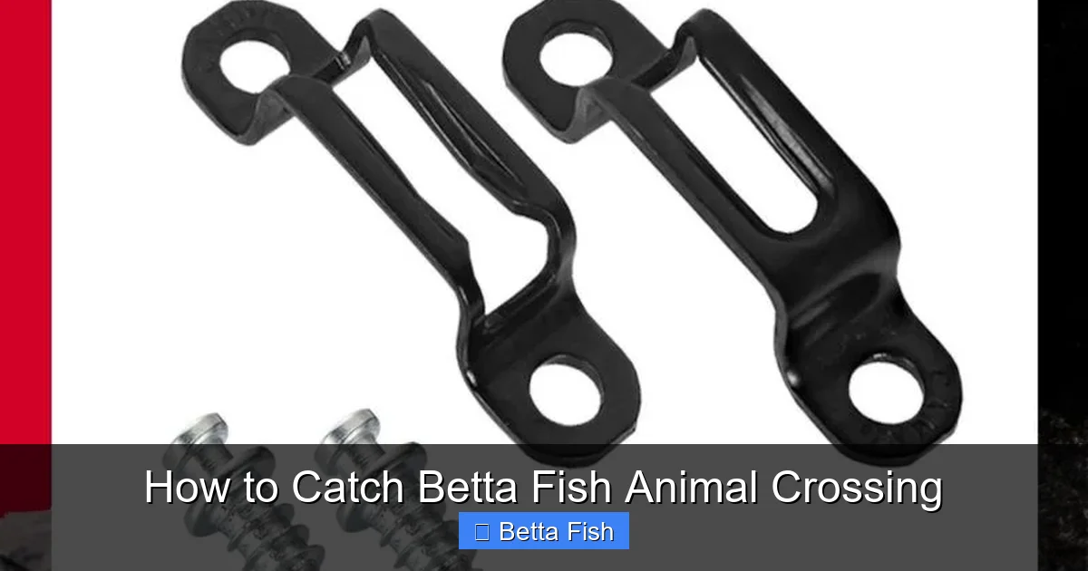 How to Catch Betta Fish Animal Crossing