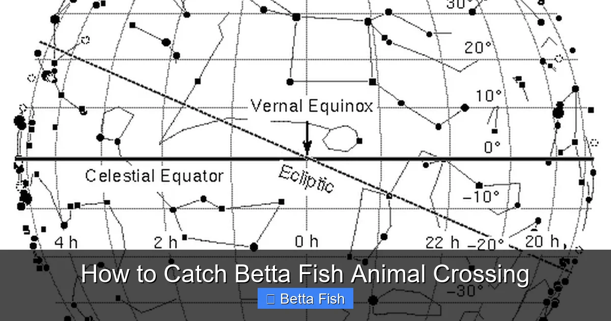 How to Catch Betta Fish Animal Crossing