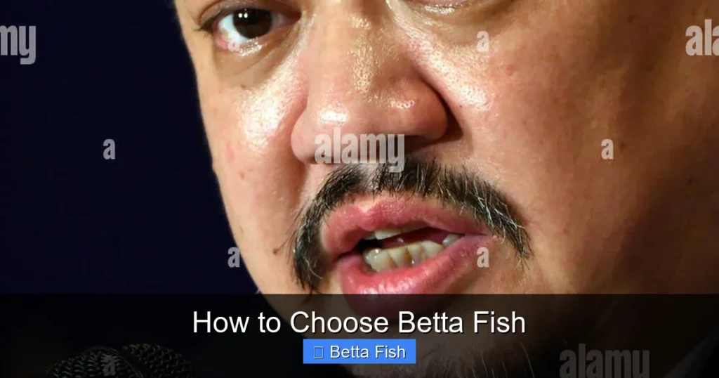 How to Choose Betta Fish