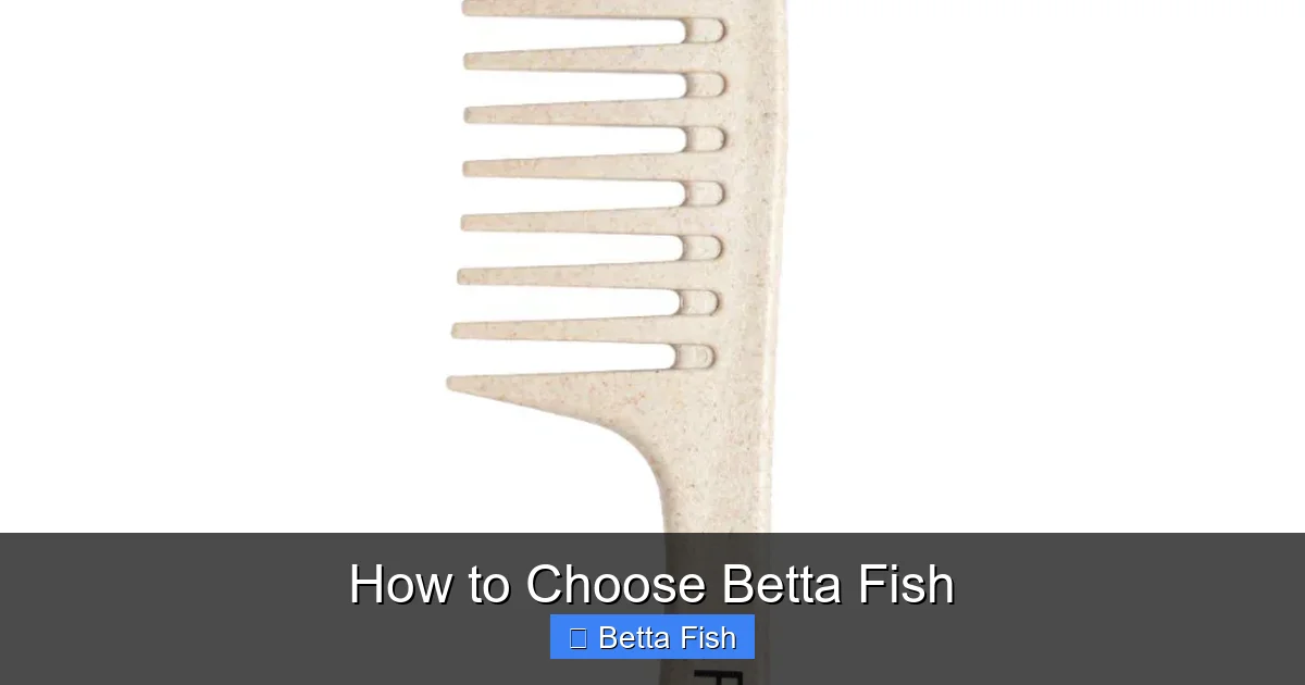 How to Choose Betta Fish