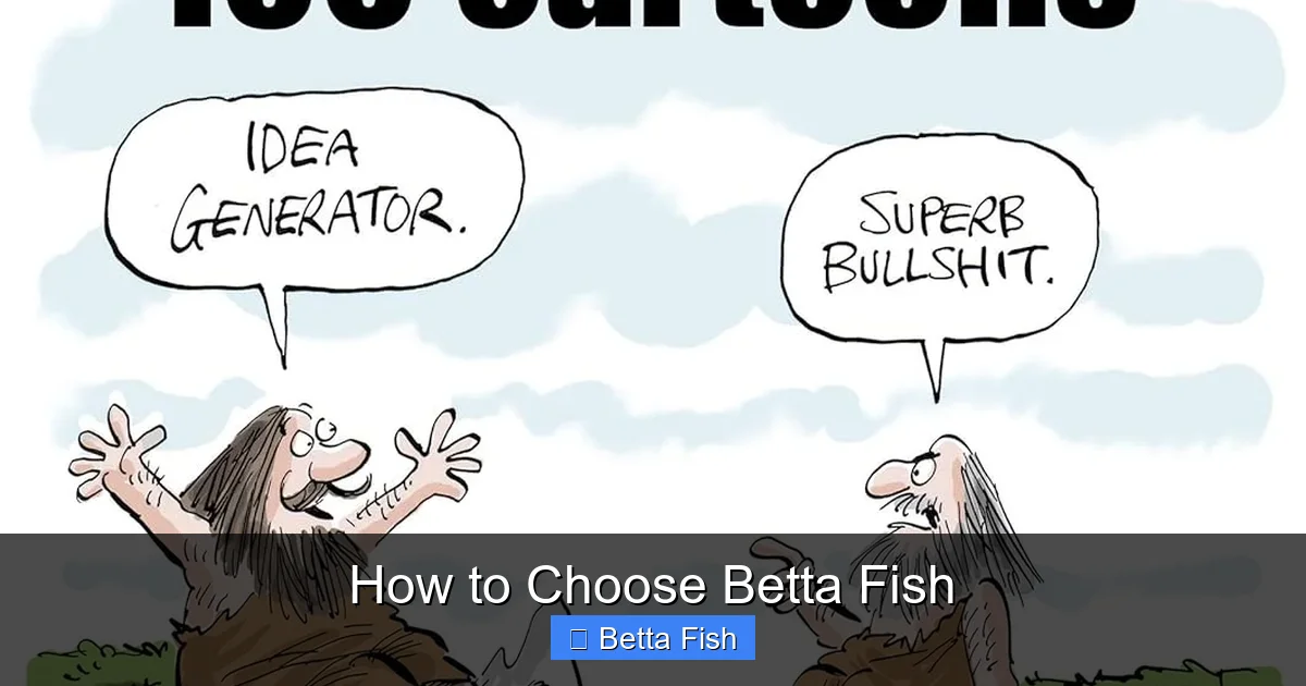 How to Choose Betta Fish
