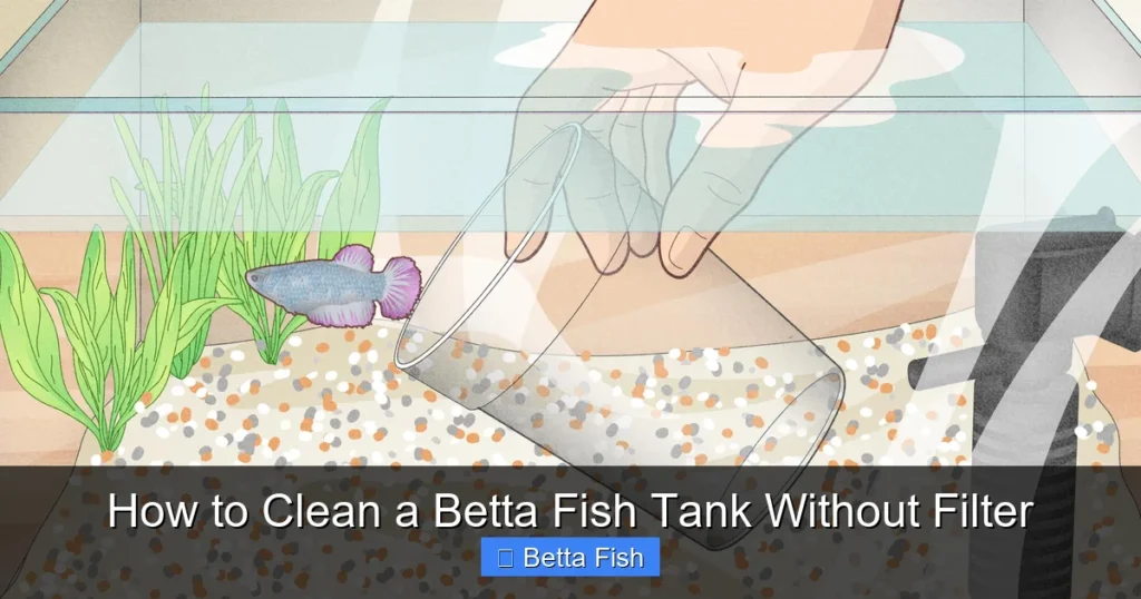 How to Clean a Betta Fish Tank Without Filter