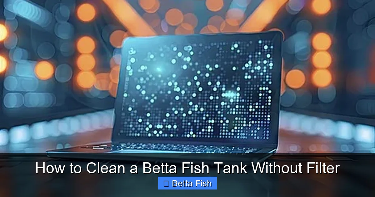 How to Clean a Betta Fish Tank Without Filter