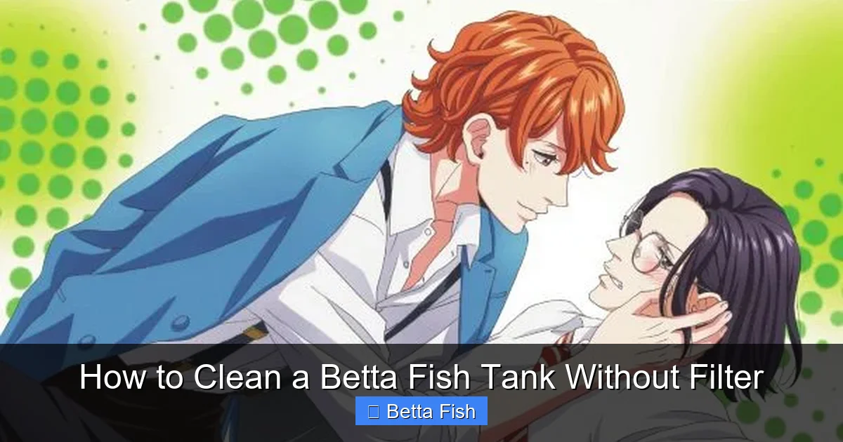 How to Clean a Betta Fish Tank Without Filter