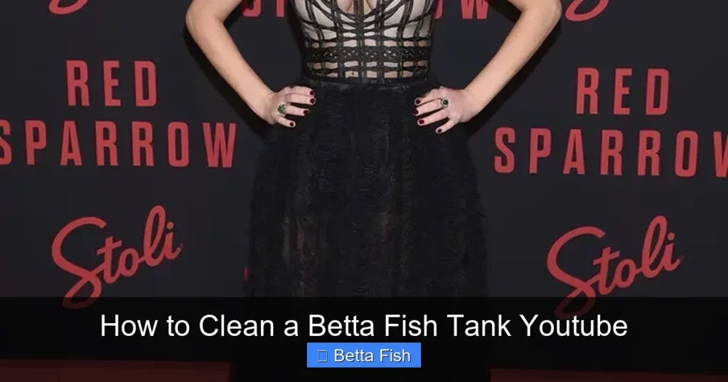 How to Clean a Betta Fish Tank Youtube