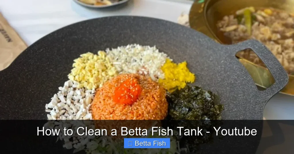 How to Clean a Betta Fish Tank - Youtube