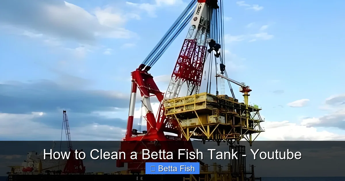 How to Clean a Betta Fish Tank - Youtube