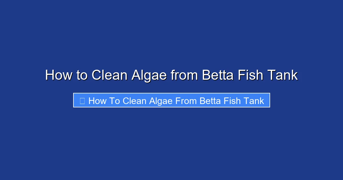 How to Clean Algae from Betta Fish Tank