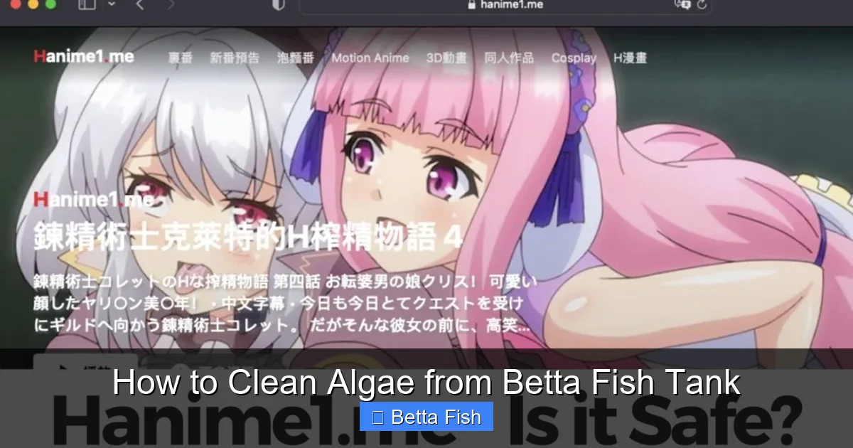 How to Clean Algae from Betta Fish Tank