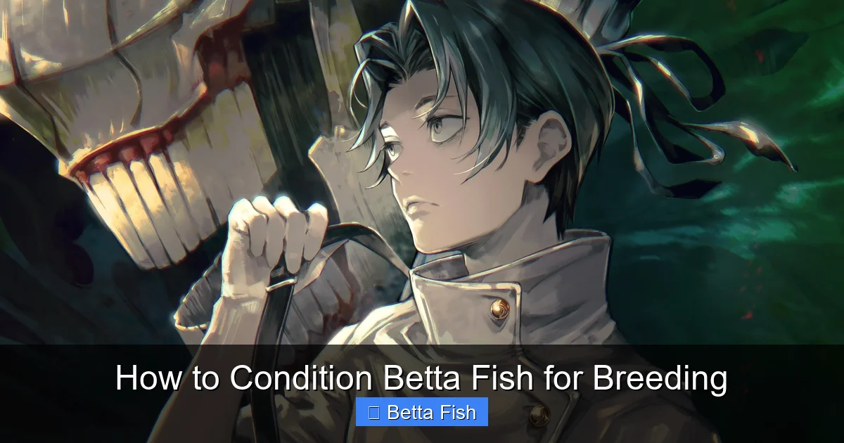 How to Condition Betta Fish for Breeding