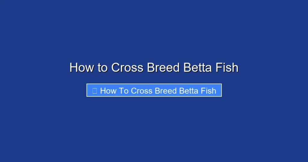 How to Cross Breed Betta Fish
