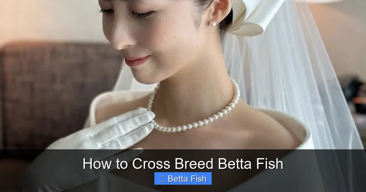 How to Cross Breed Betta Fish