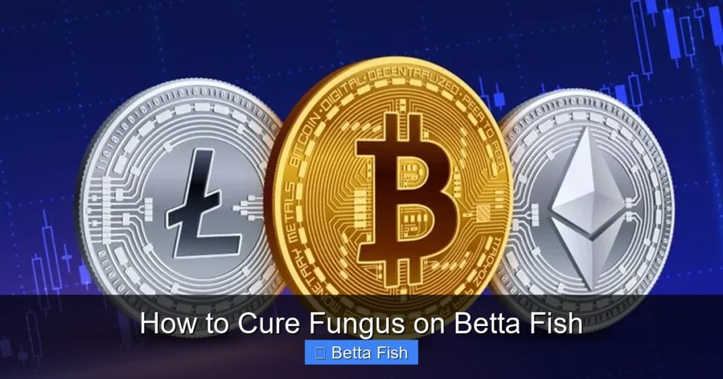 How to Cure Fungus on Betta Fish