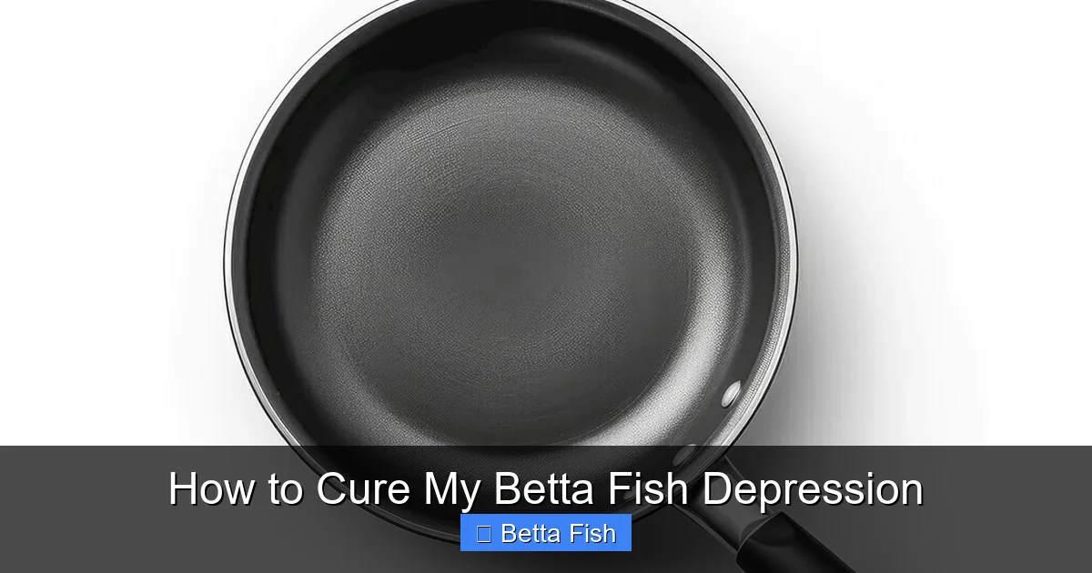 How to Cure My Betta Fish Depression